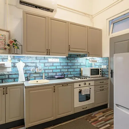 Barka In Downtown Buda