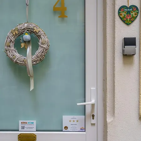 Barka In Downtown Buda * Budapesta