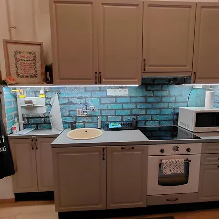 Apartament Barka In Downtown Buda Budapesta