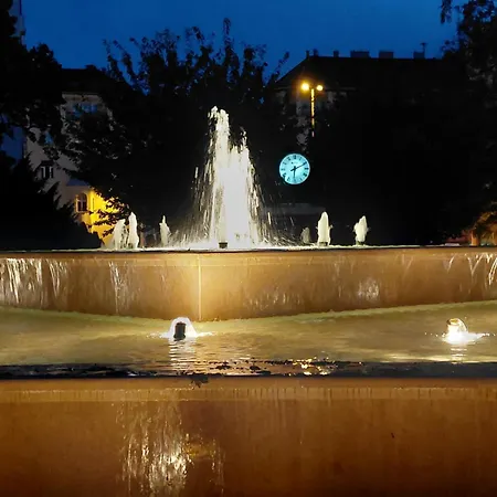 Barka In Downtown Buda *